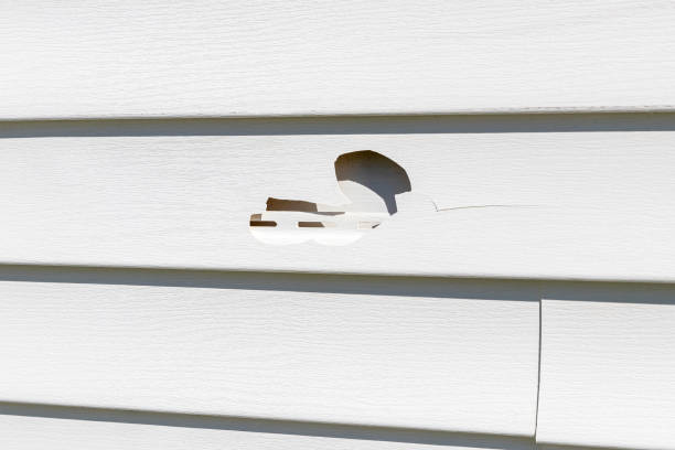 Trusted Coudersport, PA Siding Installation & Repair Experts